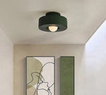 Nordic Minimalist Ceiling Mounted Personalized Lighting Fixtures